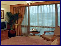 Hotel Radisson, Delhi Hotels